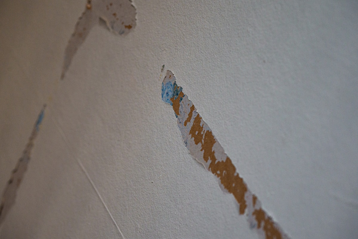 Flood Cleanup service in Dover, DE